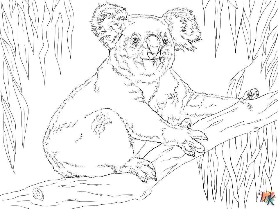 Dibujos para Colorear Koala 24