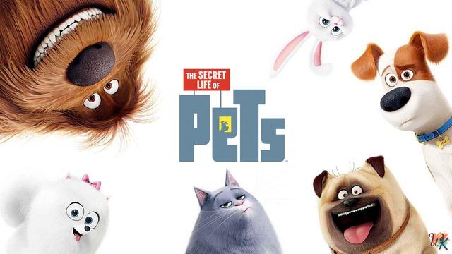 Secret Life of Pets 3 36 Dibujos Para Colorear Secret Life of Pets