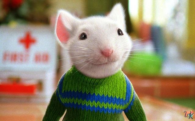 Stuart Little 1 Stuart Little