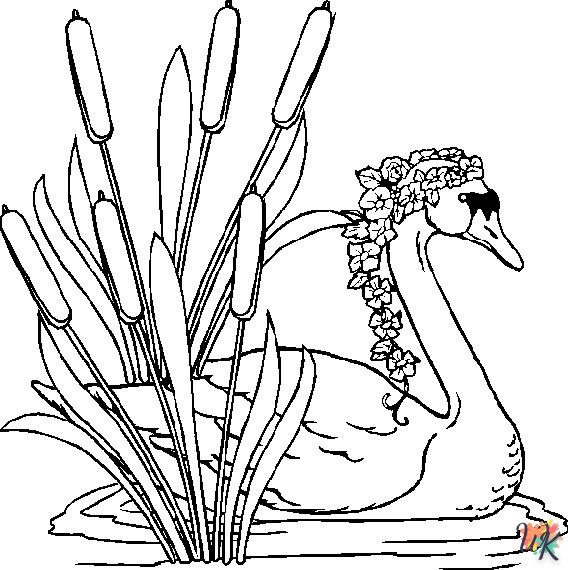 Dibujos para Colorear Cisne 8
