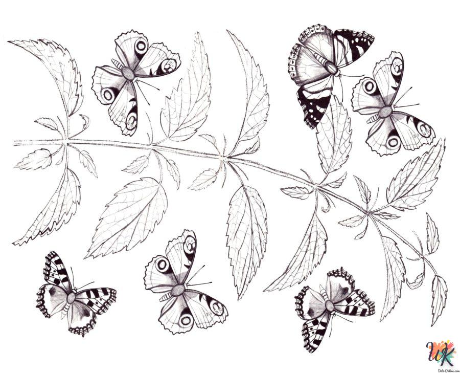 Dibujos para Colorear Mariposas 116