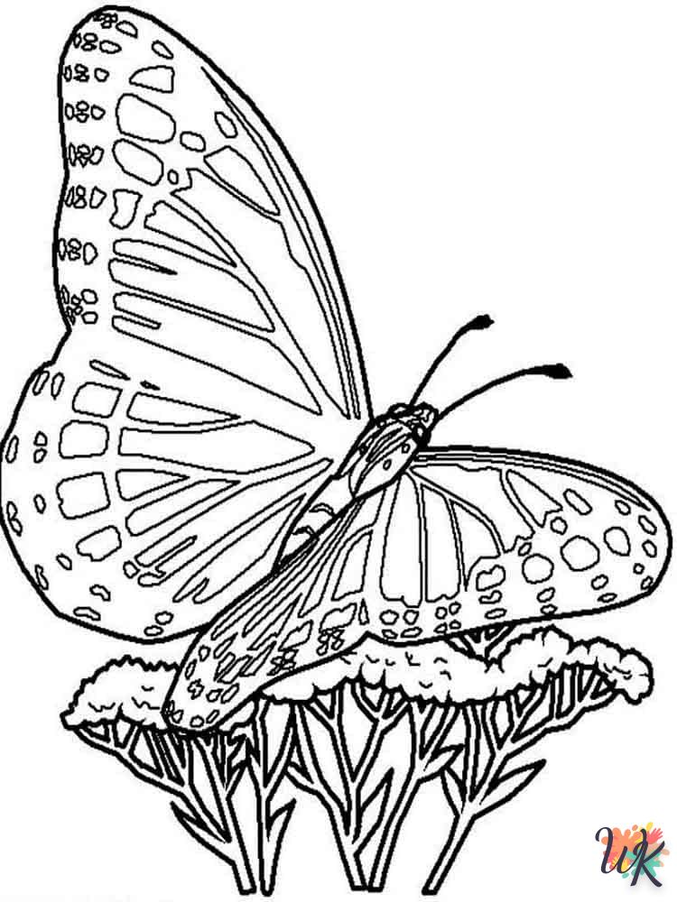 Dibujos para Colorear Mariposas 12