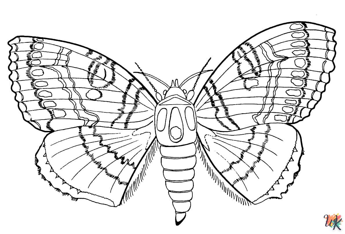Dibujos para Colorear Mariposas 25