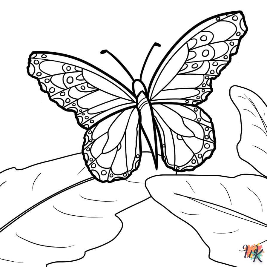 Dibujos para Colorear Mariposas 27