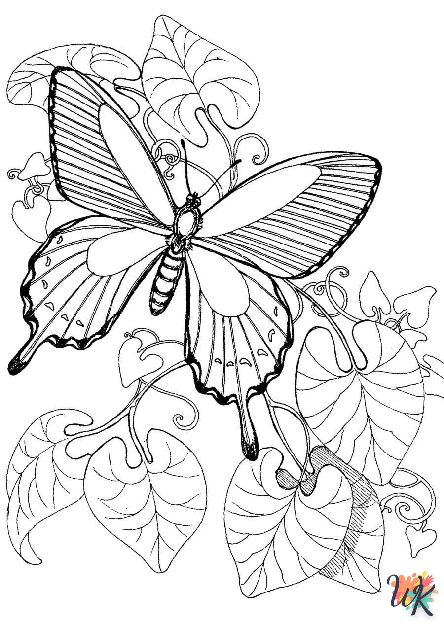 Dibujos para Colorear Mariposas 29