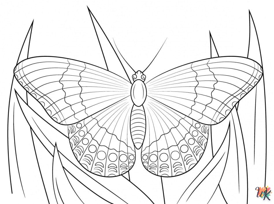 Dibujos para Colorear Mariposas 56