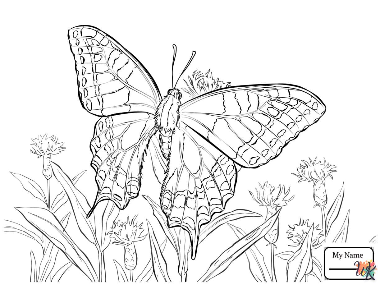 Dibujos para Colorear Mariposas 67