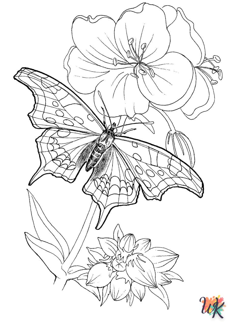 Dibujos para Colorear Mariposas 69