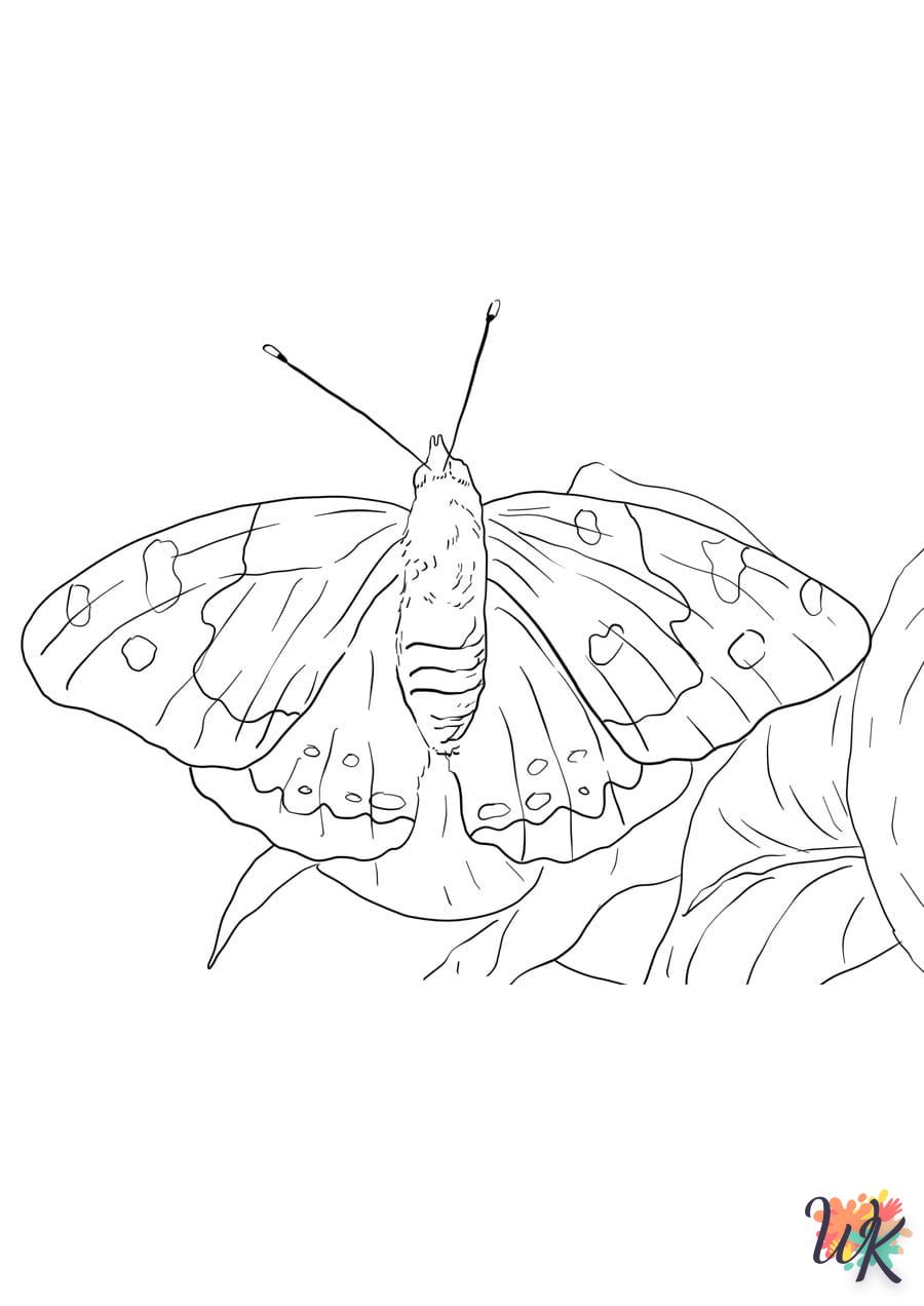 Dibujos para Colorear Mariposas 94