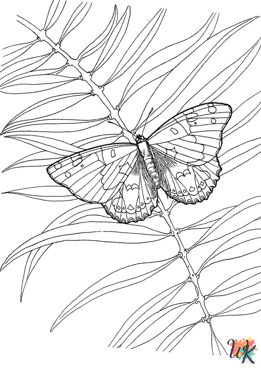 Dibujos para Colorear Mariposas 99