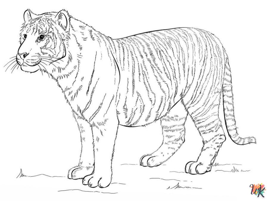 Dibujos para Colorear Tigre 38