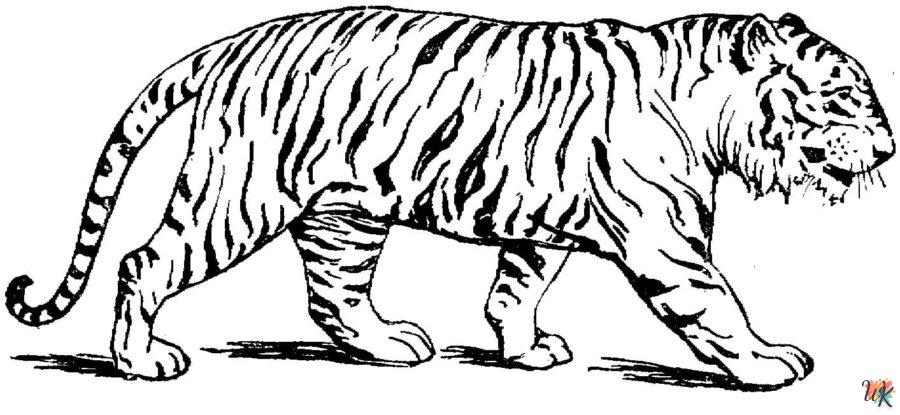 Dibujos para Colorear Tigre 5