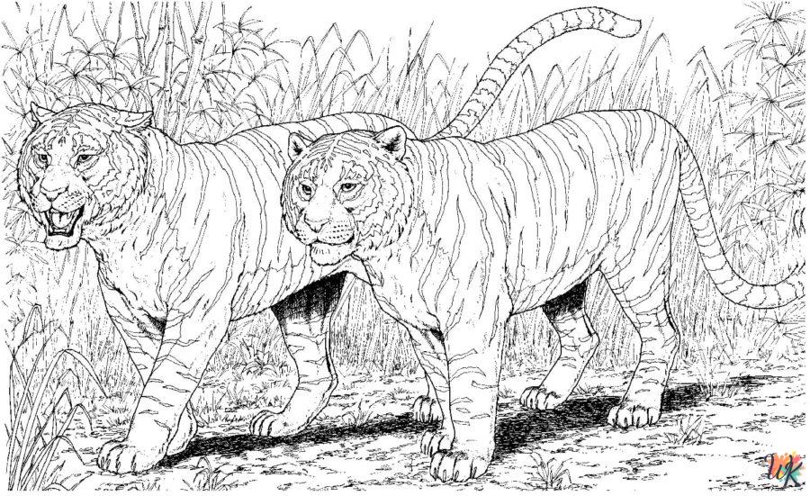 Dibujos para Colorear Tigre 50