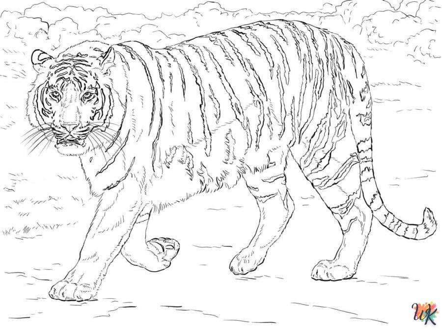 Dibujos para Colorear Tigre 6