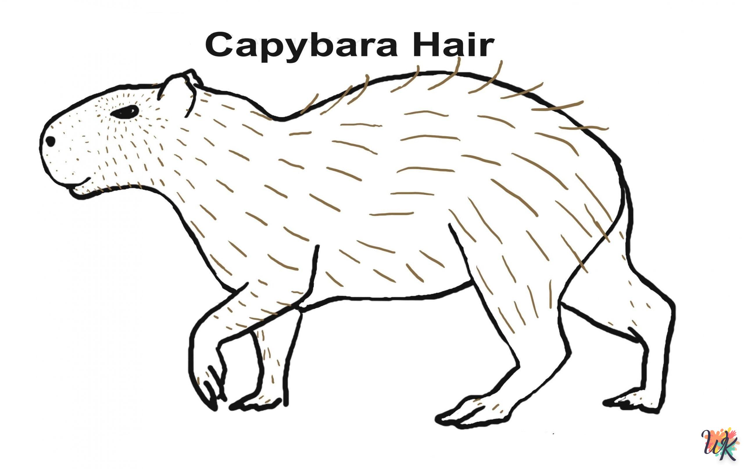 Dibujos para Colorear Carpincho