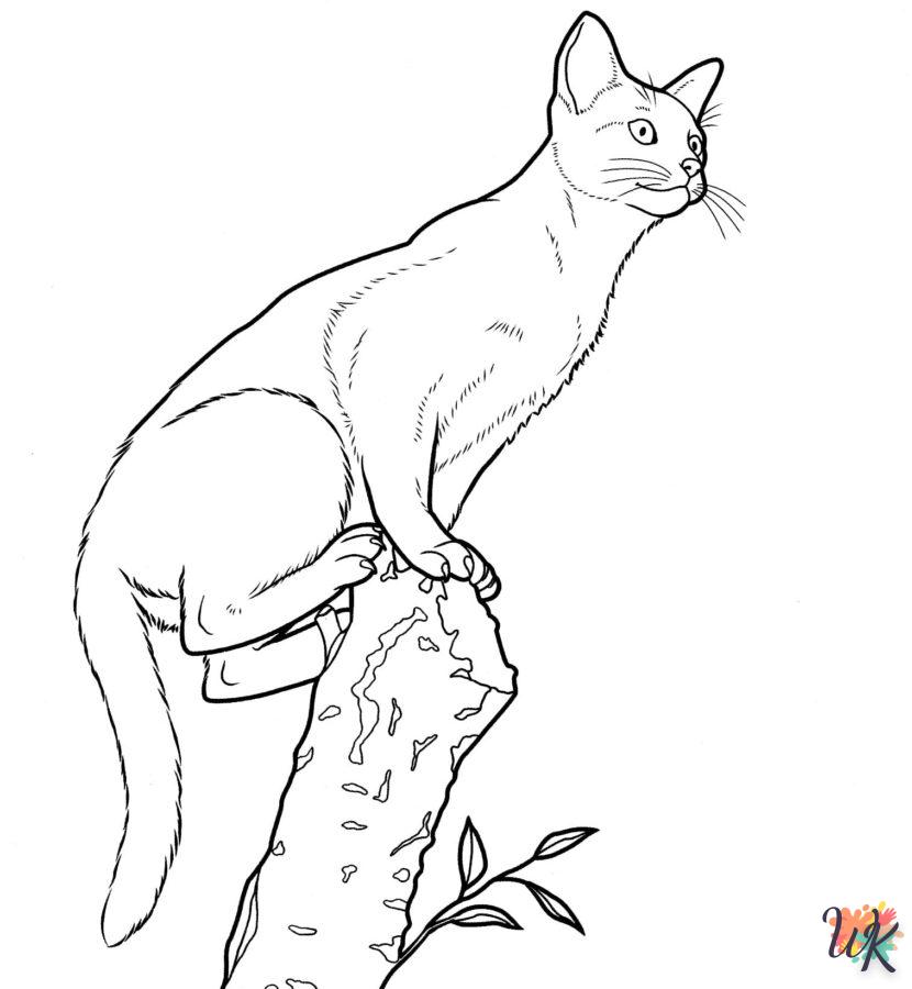 Dibujos para Colorear Gatos 101