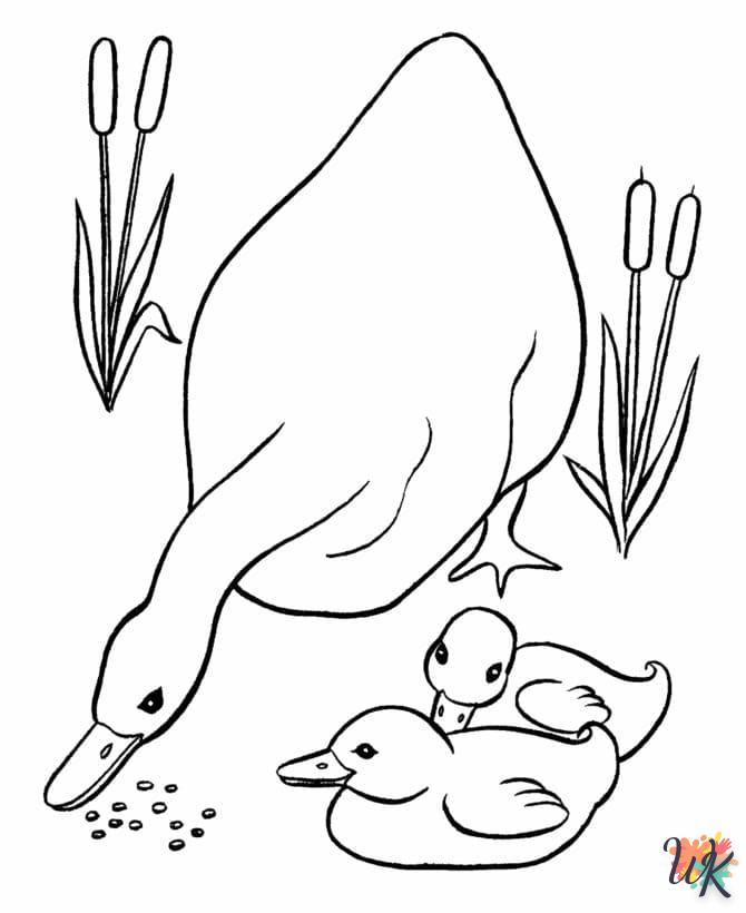 Dibujos para Colorear Patos 43