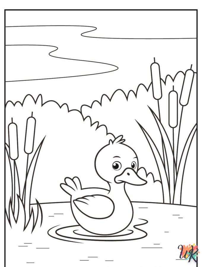 Dibujos para Colorear Patos 62