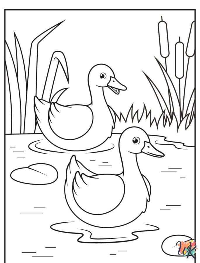 Dibujos para Colorear Patos 64