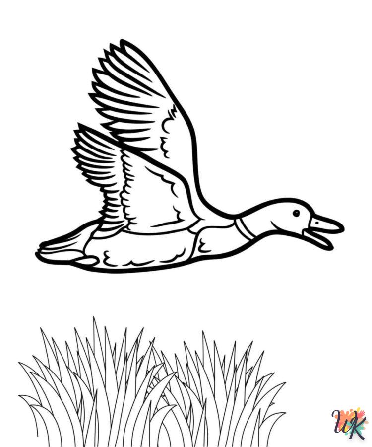 Dibujos para Colorear Patos 66