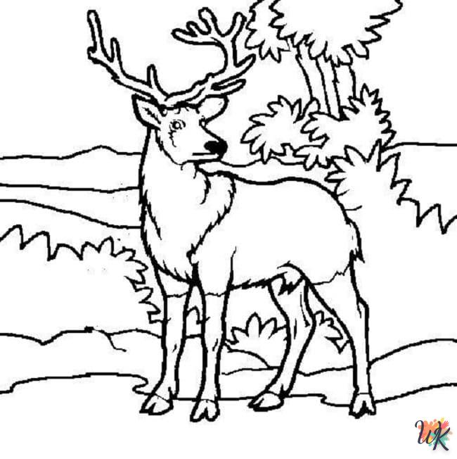 Dibujos para Colorear Ciervos 15