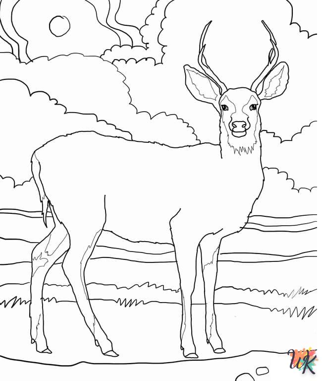 Dibujos para Colorear Ciervos 4