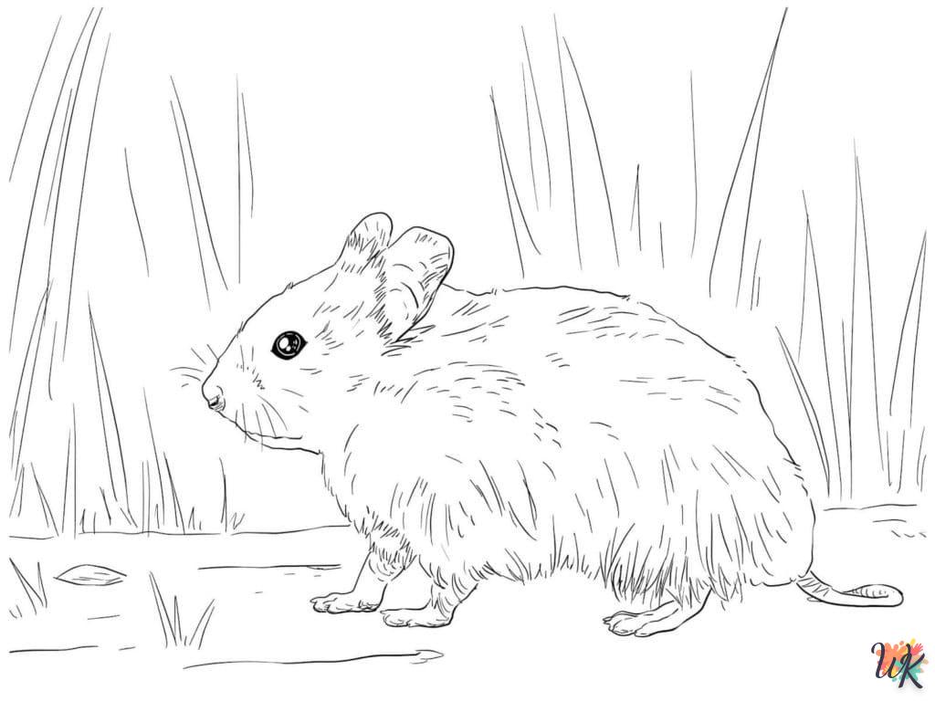 Dibujos para Colorear Hamster 10