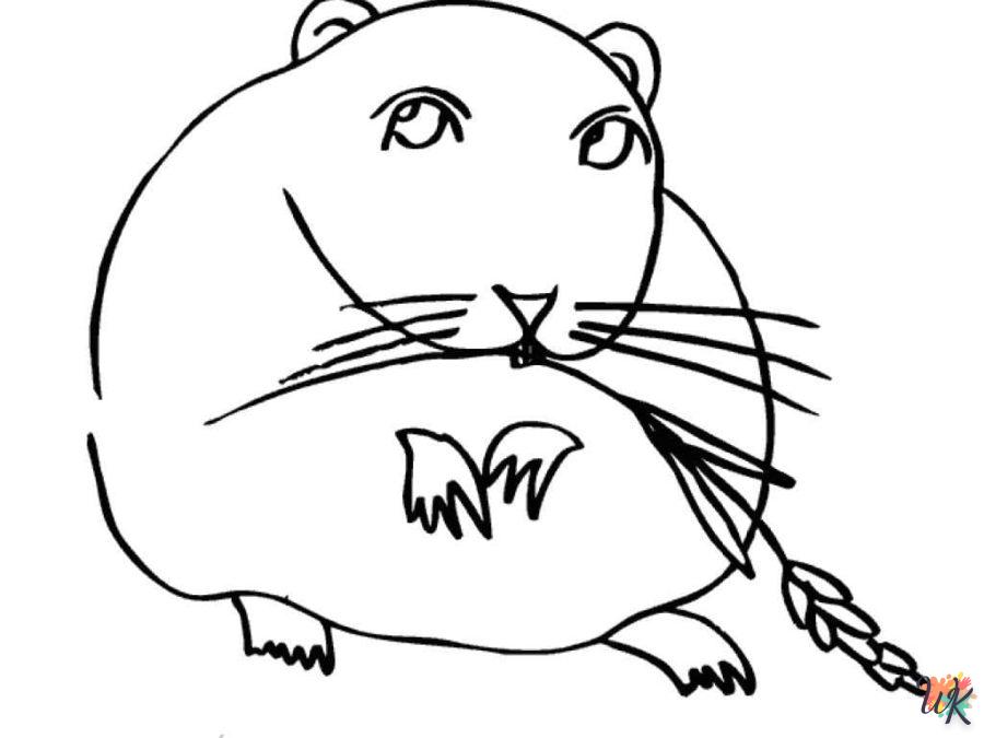 Dibujos para Colorear Hamster 100