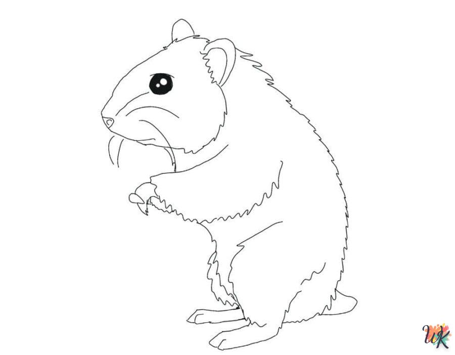 Dibujos para Colorear Hamster 103