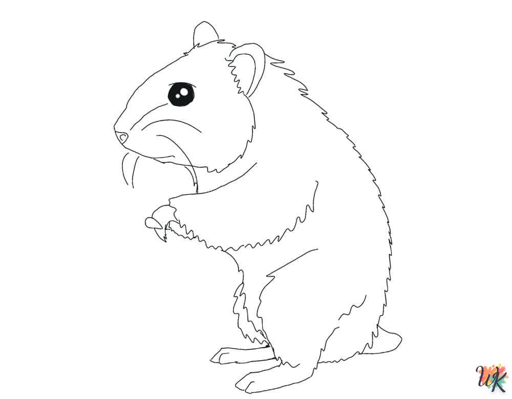 Dibujos para Colorear Hamster 19