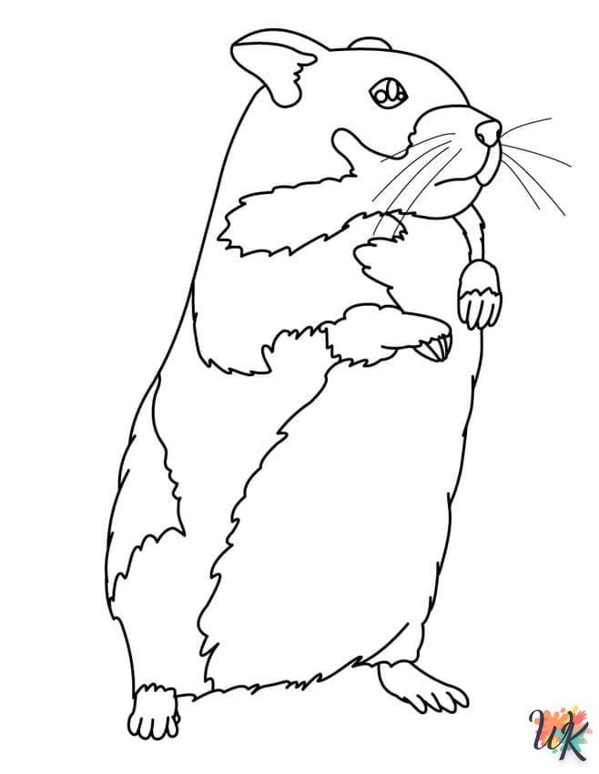 Dibujos para Colorear Hamster 20