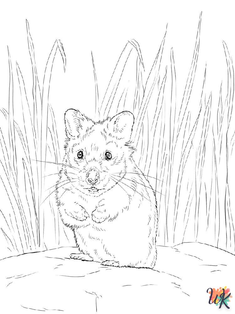 Dibujos para Colorear Hamster 27