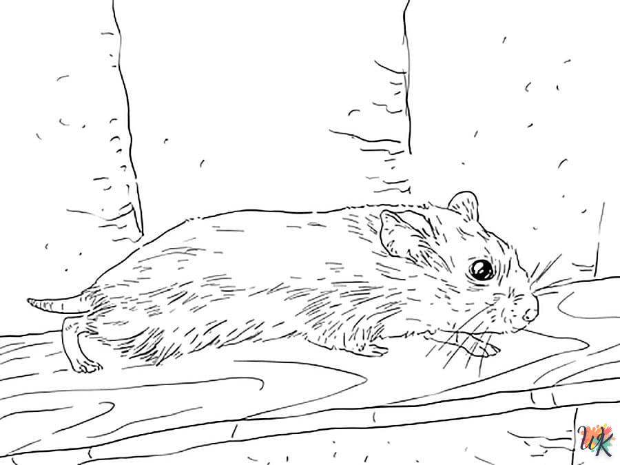 Dibujos para Colorear Hamster 38