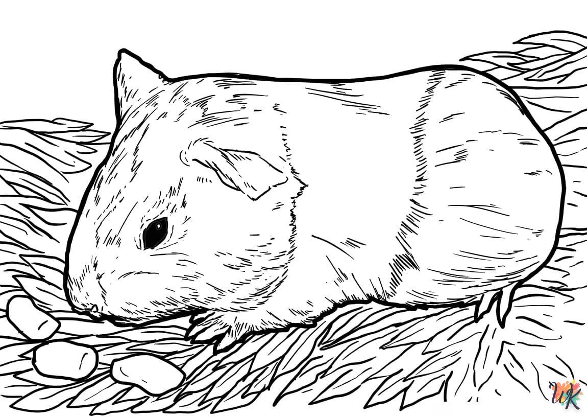 Dibujos para Colorear Hamster 43