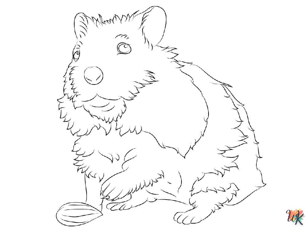 Dibujos para Colorear Hamster 44