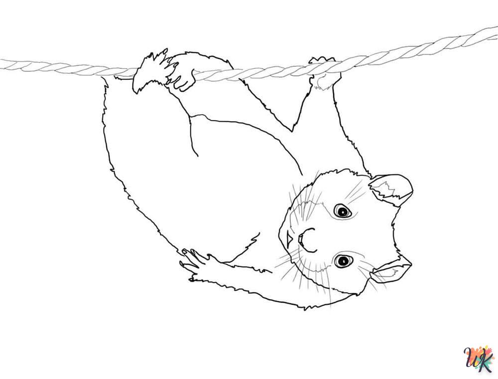 Dibujos para Colorear Hamster 45