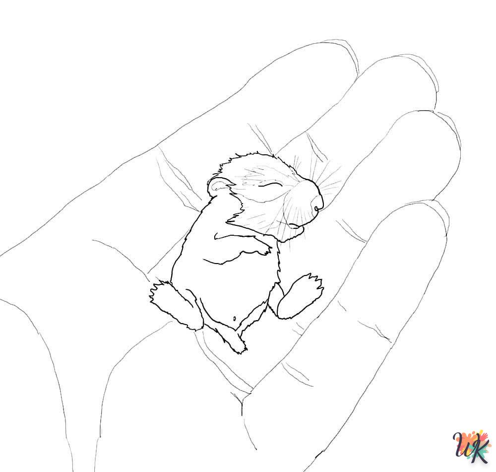 Dibujos para Colorear Hamster 51