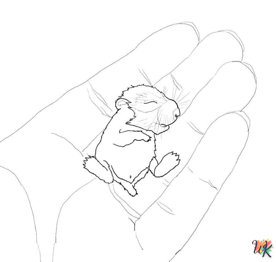 Dibujos para Colorear Hamster 77