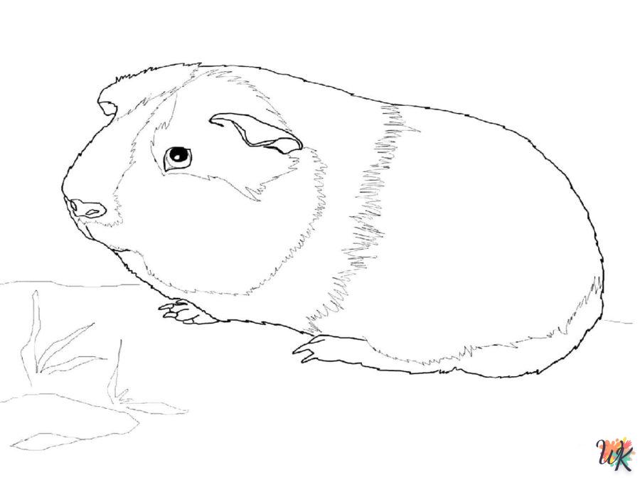 Dibujos para Colorear Hamster 78