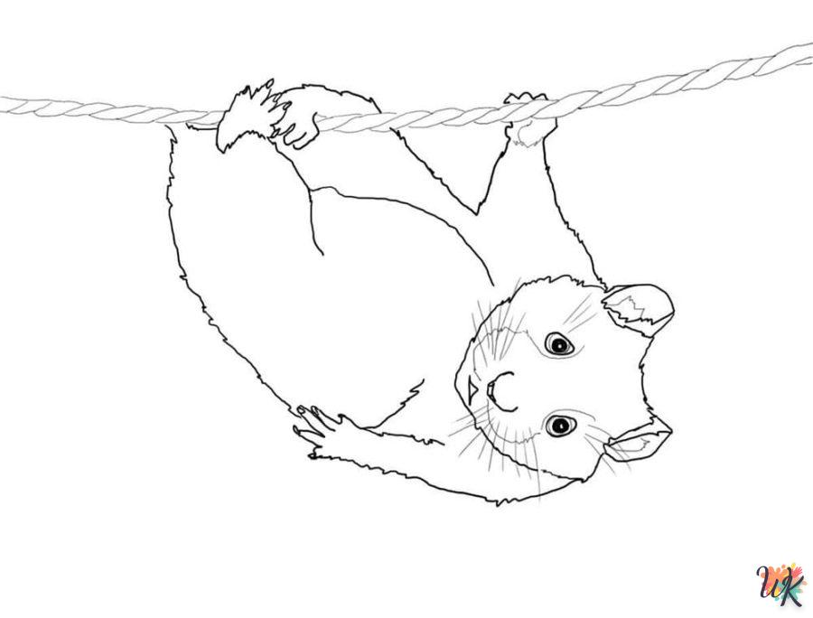 Dibujos para Colorear Hamster 94