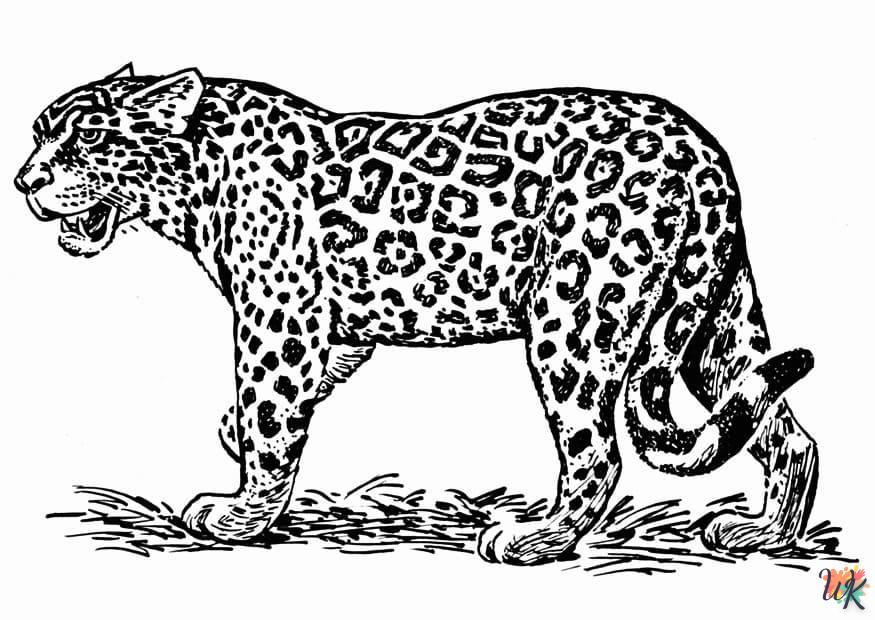 Dibujos para Colorear Leopardo 21