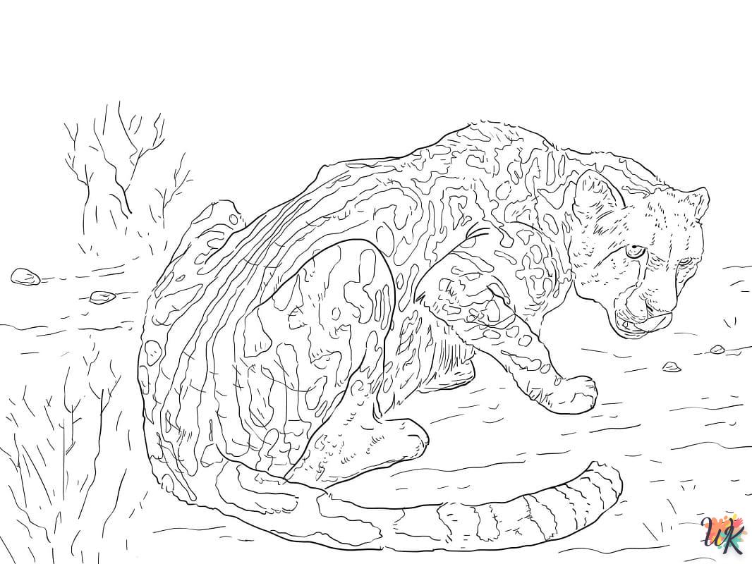 Dibujos para Colorear Leopardo 64