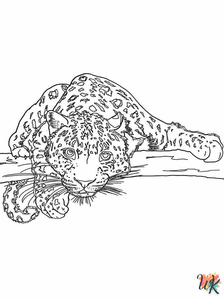 Dibujos para Colorear Leopardo 8