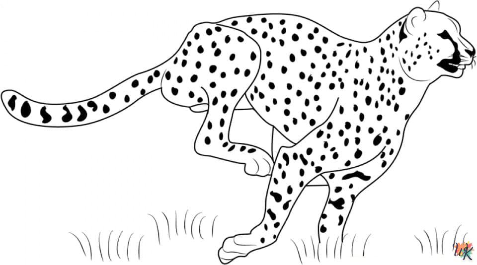 Dibujos para Colorear Leopardo 80