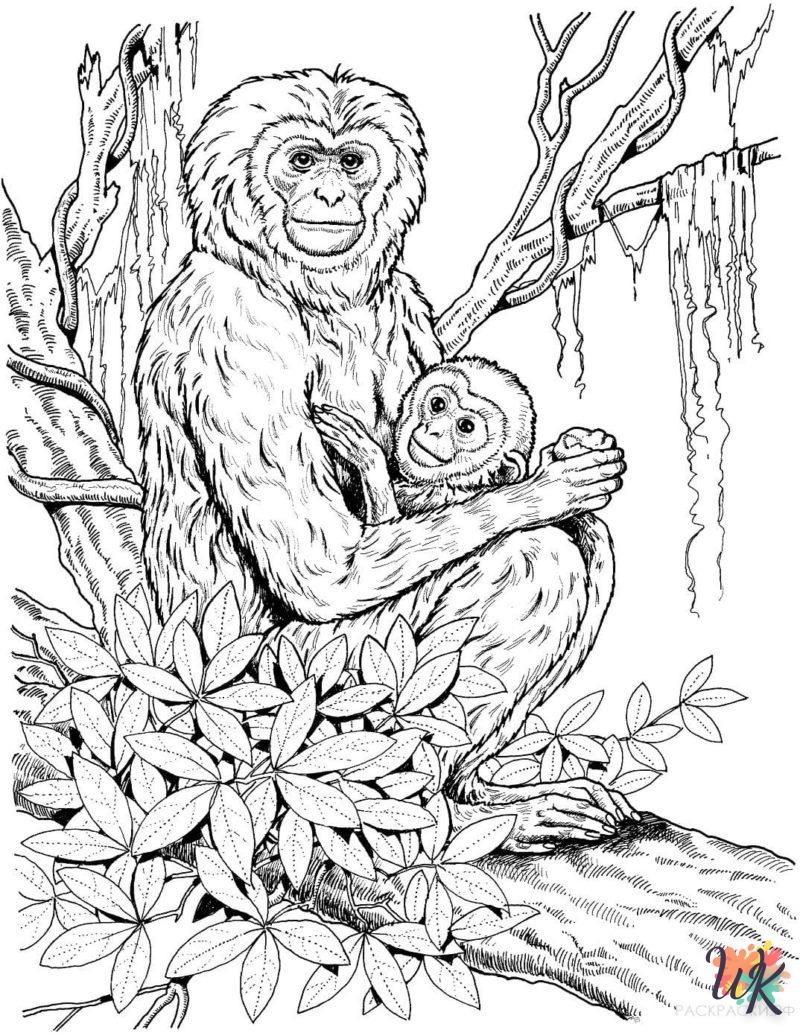 Dibujos para Colorear Monos 71