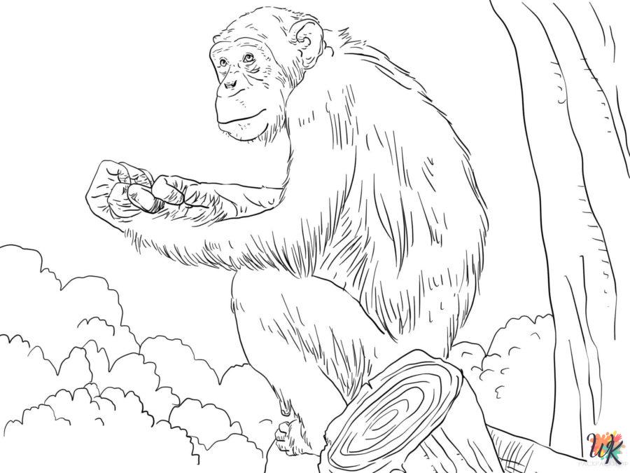 Dibujos para Colorear Monos 72