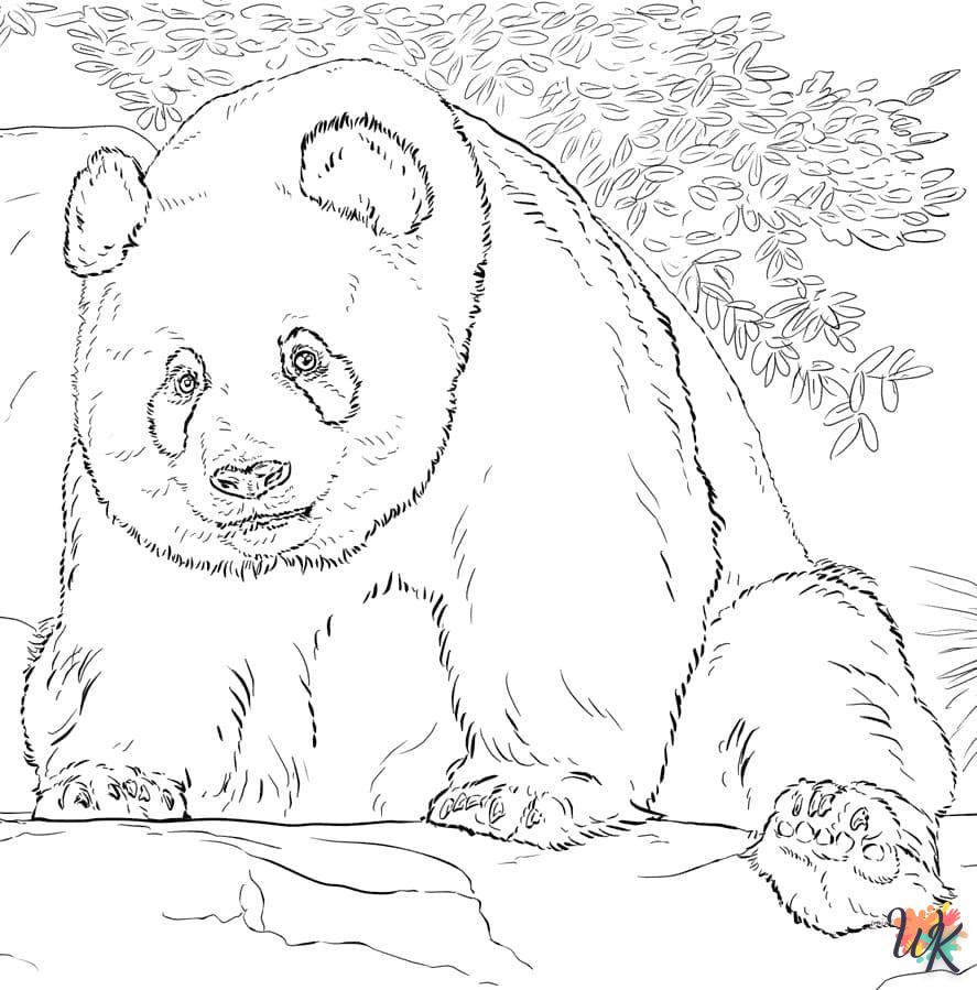 Dibujos para Colorear Panda 45