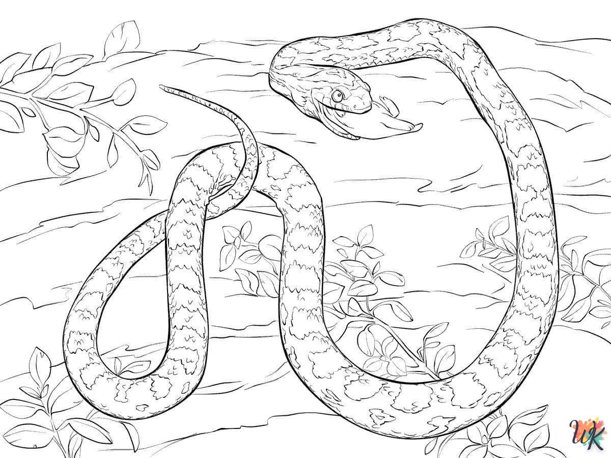 Dibujos para Colorear Serpiente 22