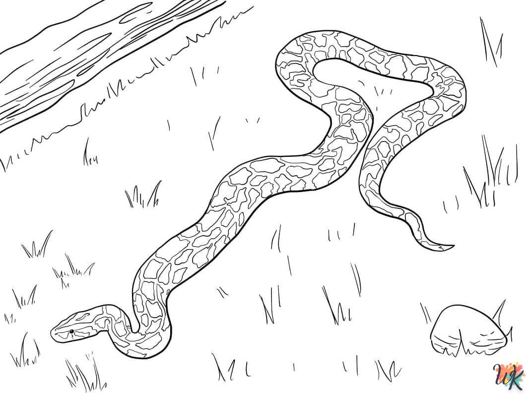 Dibujos para Colorear Serpiente 42