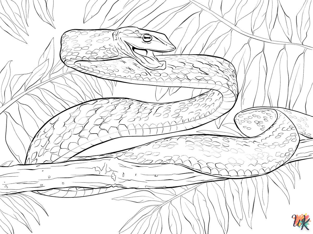 Dibujos para Colorear Serpiente 49